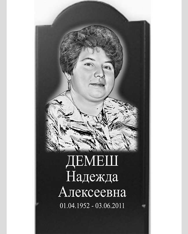 Демеш Н.А. Макет №1